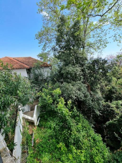 Kapsala'S Family Home Agios Ioannis  エクステリア 写真